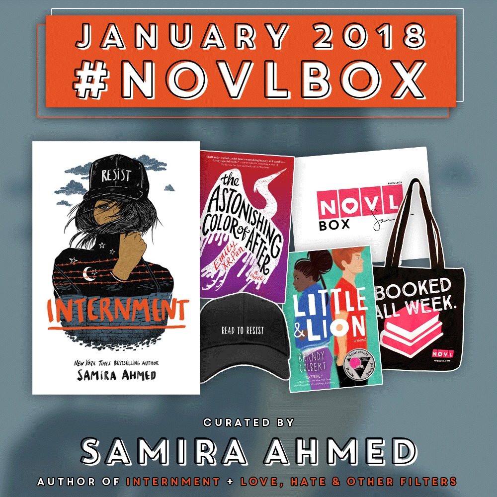 The January 2019 NOVLBox! 