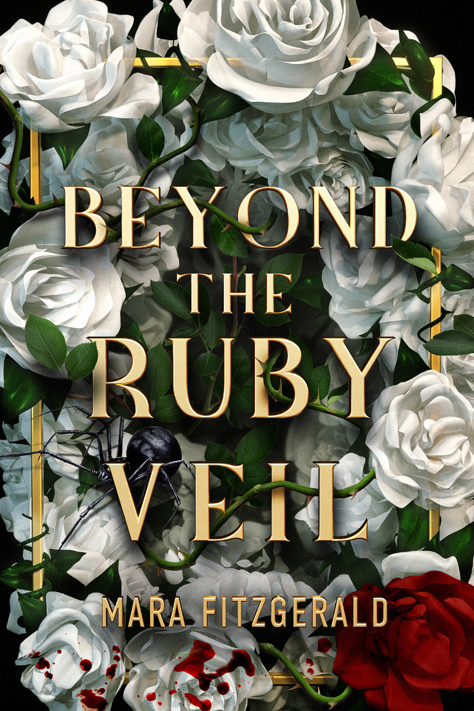 Beyond the Ruby Veil.jpg