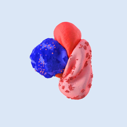 3120dc84452661.5d5ec10a60c22.gif