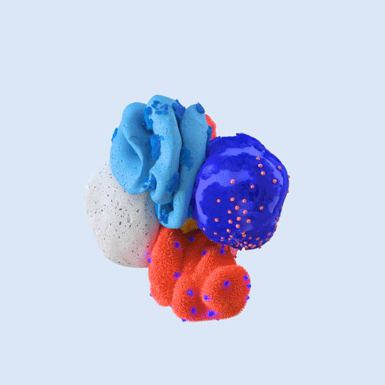 cd11be84452661.5d5ec46a78085.gif