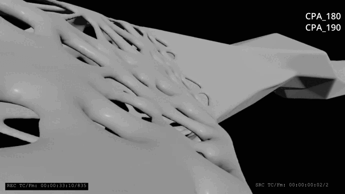 TUNEL.gif