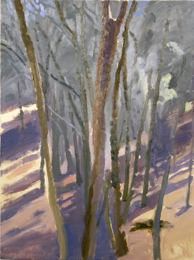 Early Morning Light