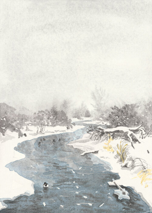 Snow on River, Polar Vortex