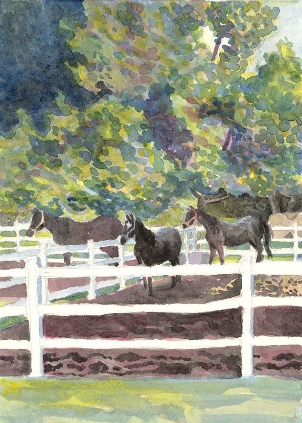 Red Arrow Stables