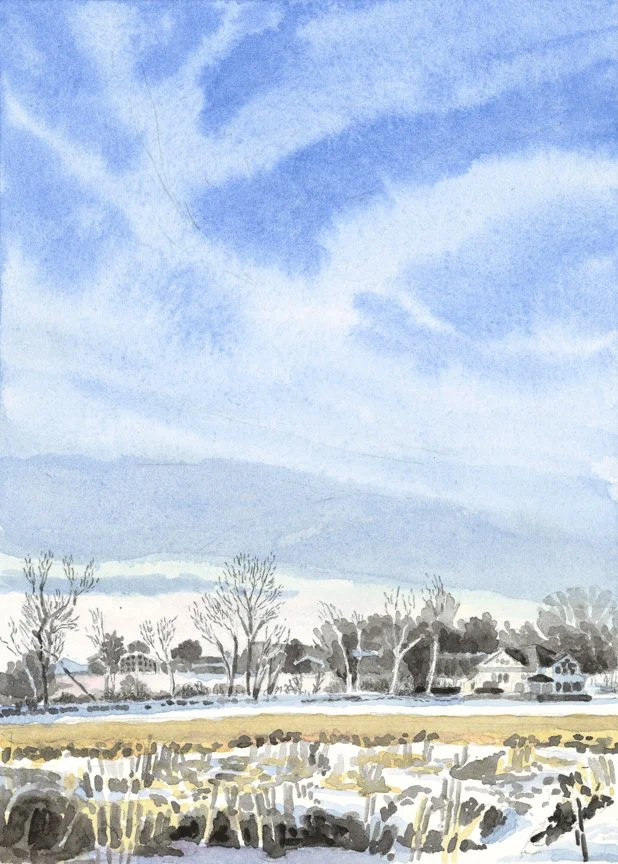 Marsh In Winter--Galien River