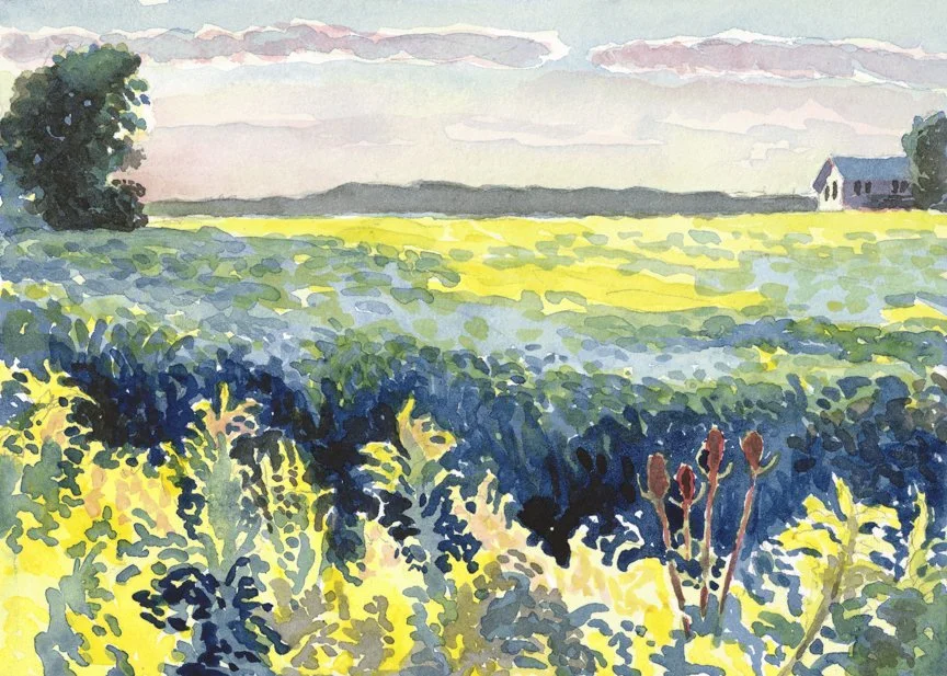 Goldenrod and Soybeans, Basswood Road