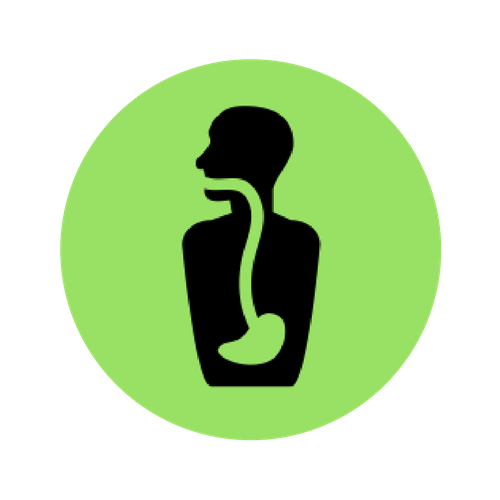 Stomach Icon Green.png