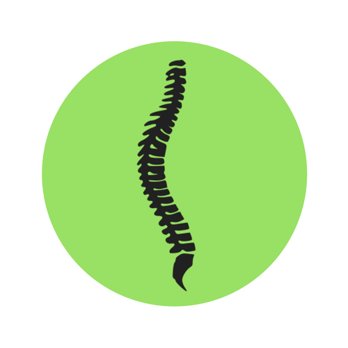 Full Spine Chiropractor.png