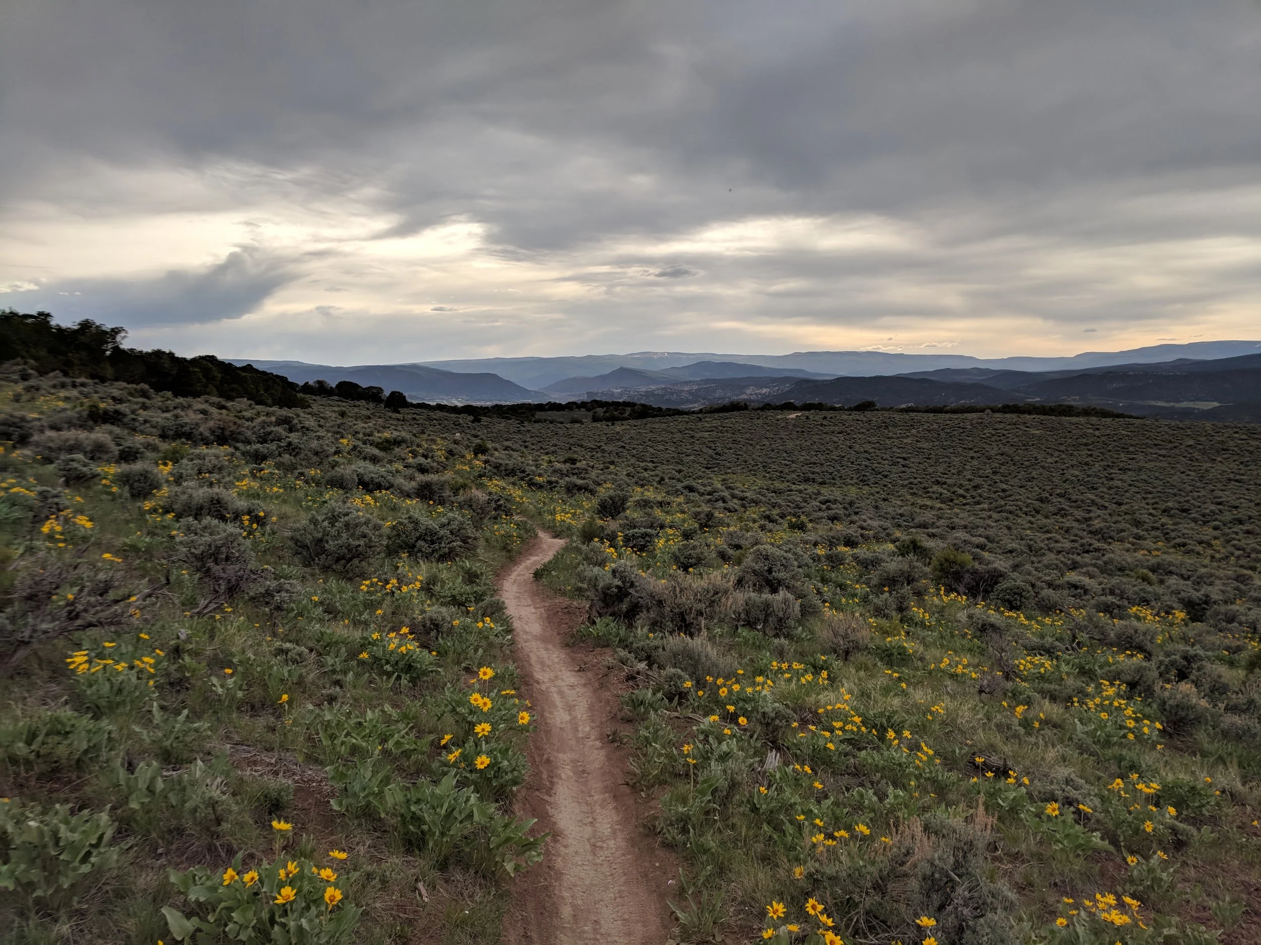 Cattle Guard installation on LOV Connection