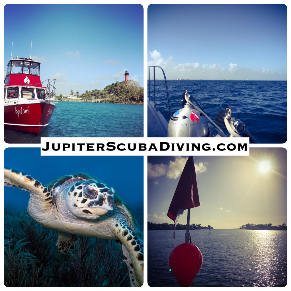 JSD Dive Report 2.23.18.png