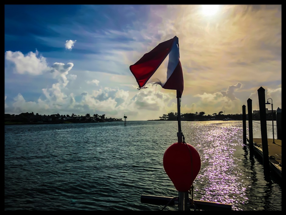 JSD Dive Report 2.27.18.jpeg