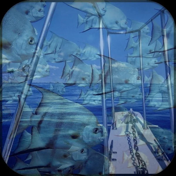 Our underwater world