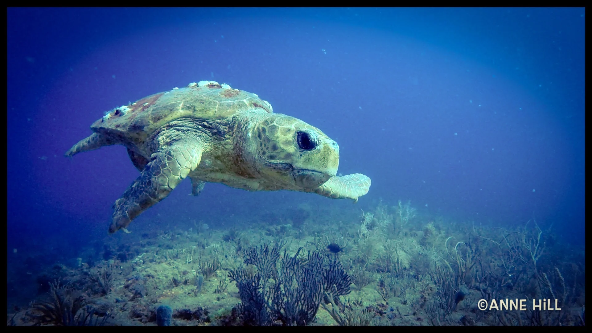 The end of the month... 