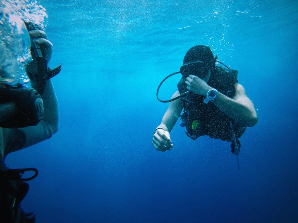 Jupiter Dive Sites: Scarface