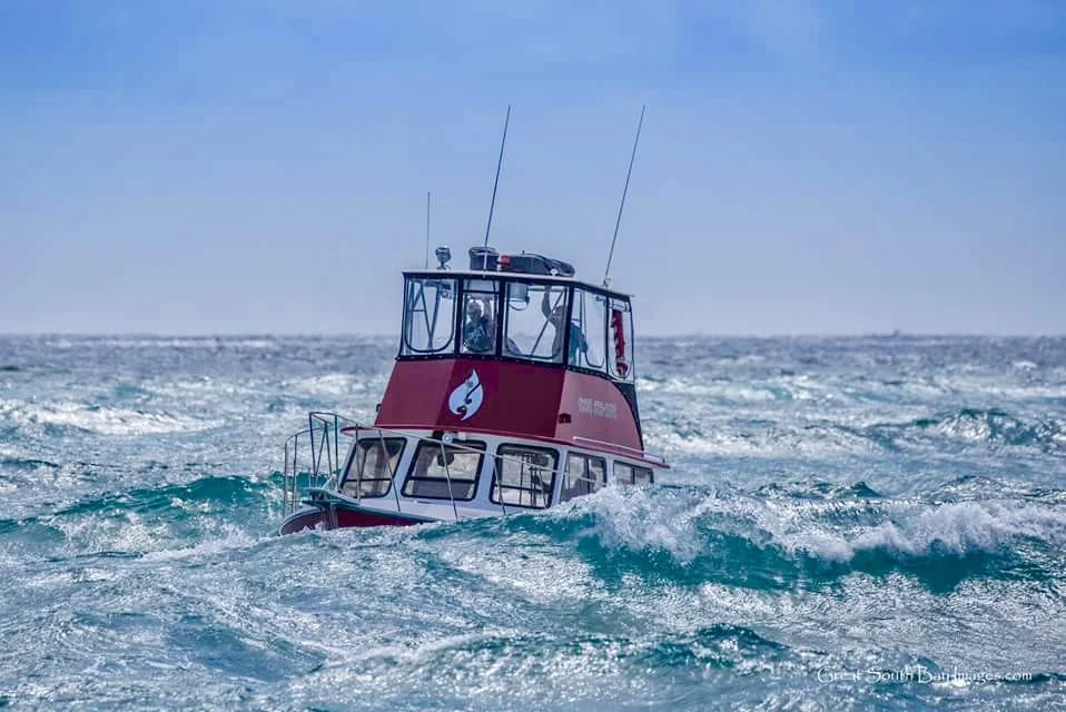 Our Best Dives Ever: Hammerhead in Jupiter, FL