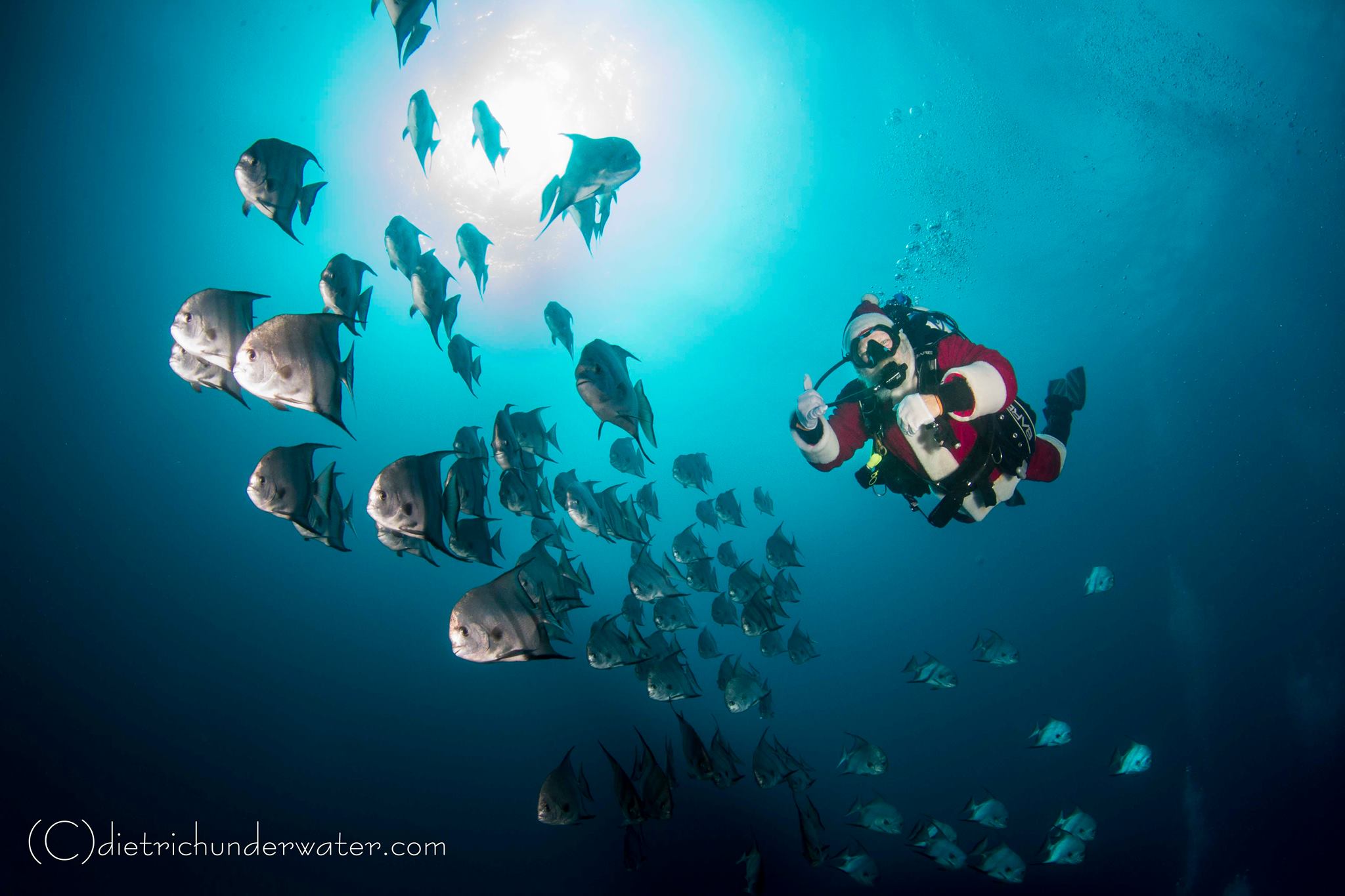 Dive with Santa Claus!