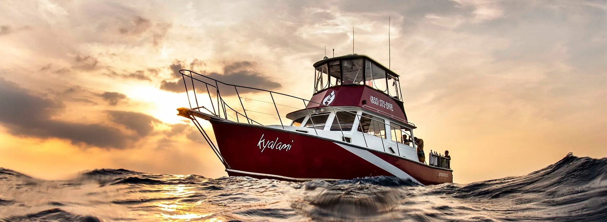 November Diving in Jupiter, FL