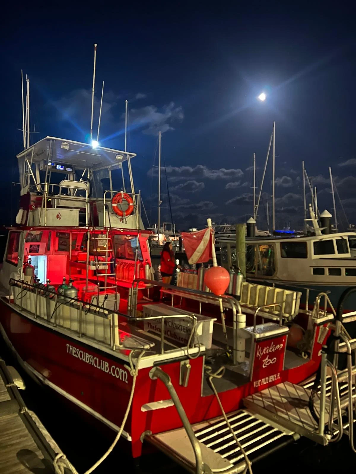 Night Diving - Magic under the Moonlight