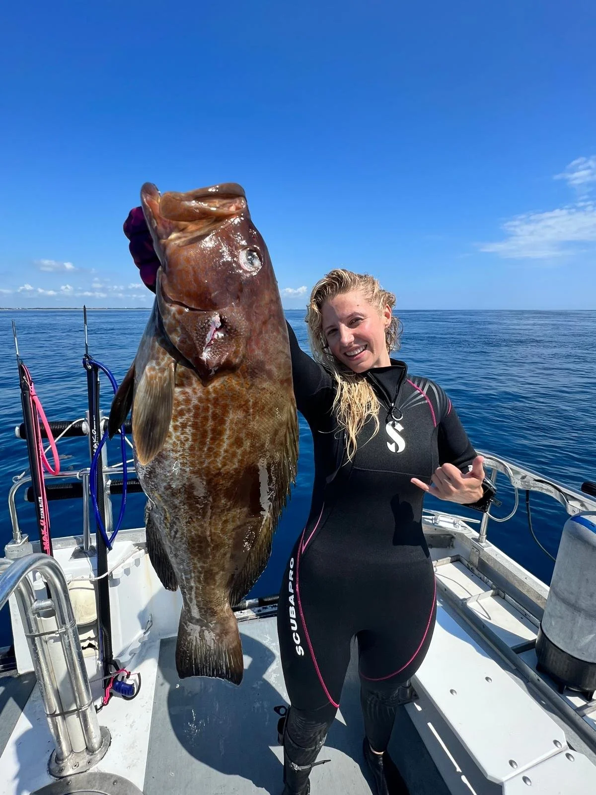Intro to Spearfishing - A Sustainable and FUN Dive Activity