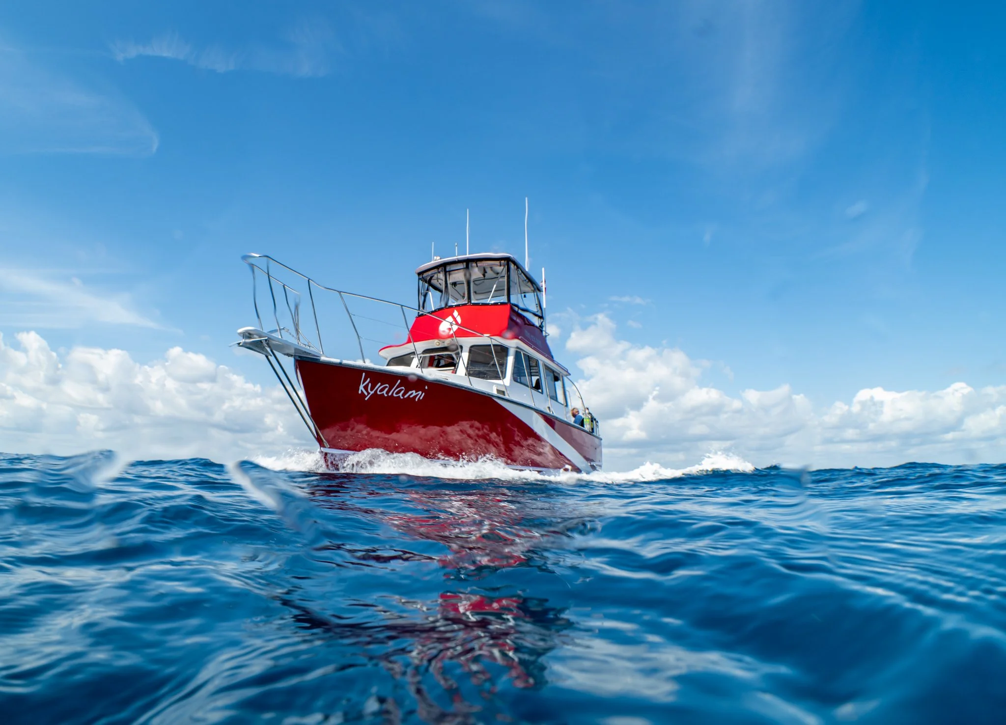 Jupiter Dive Report 5.27.24