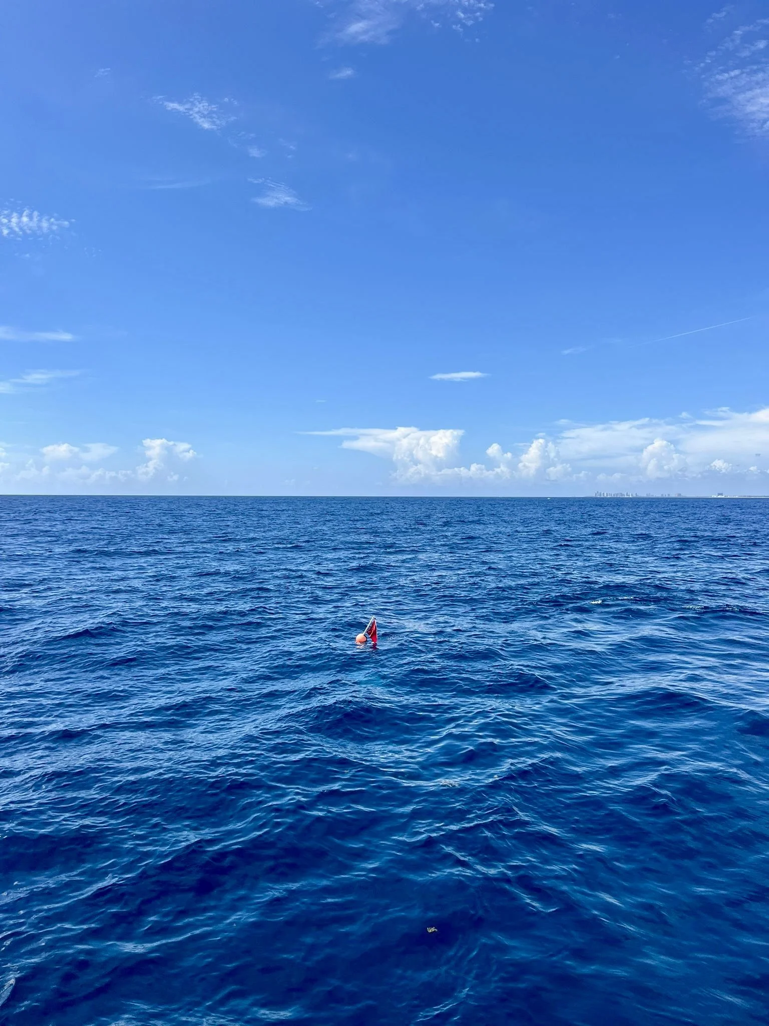 Jupiter Dive Report 7.16.24