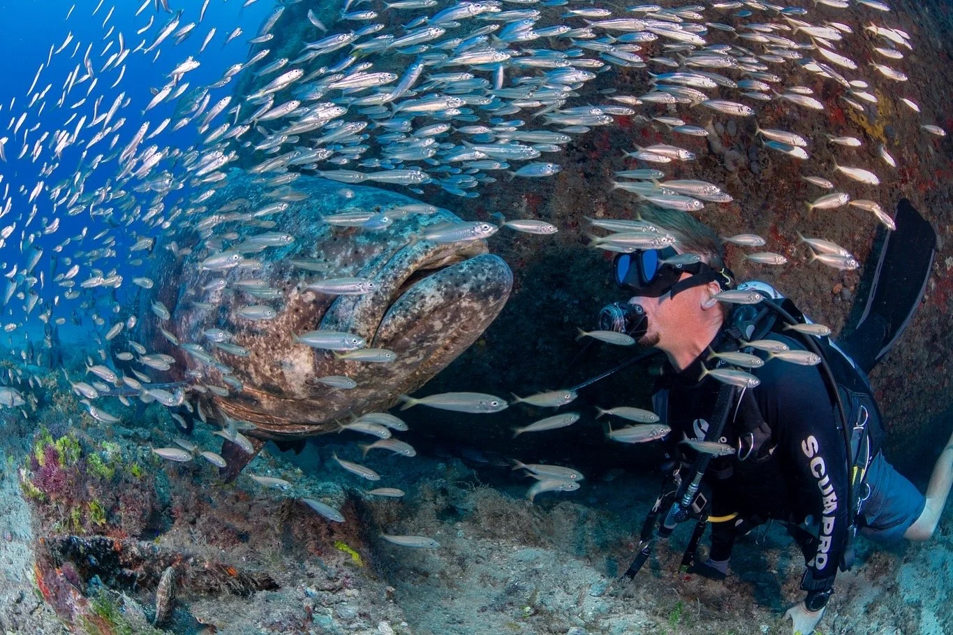 Jupiter Dive Report 9.28.24