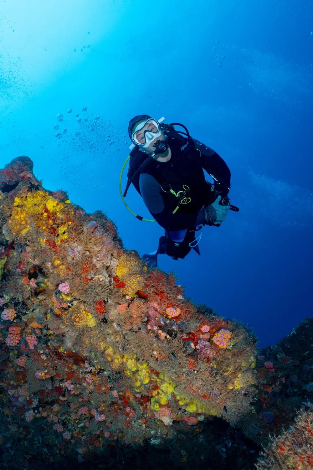 WhatsApp Image 2024-10-23 at 18.46.03_863de3e2.jpg