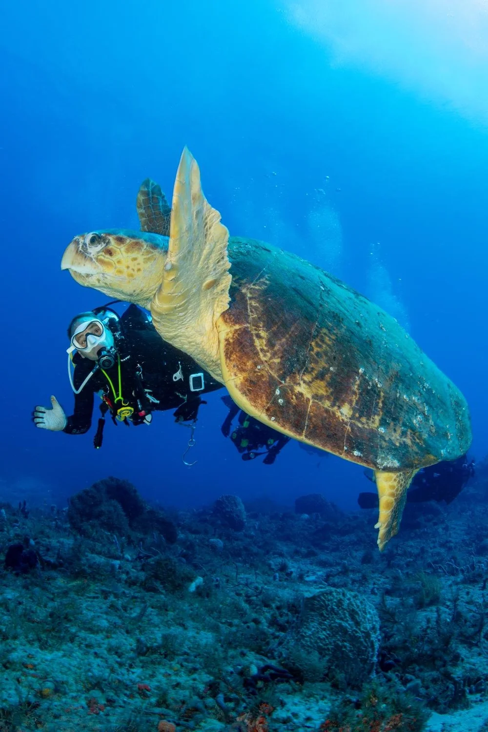 WhatsApp Image 2024-11-14 at 12.09.40_d7e832c2.jpg