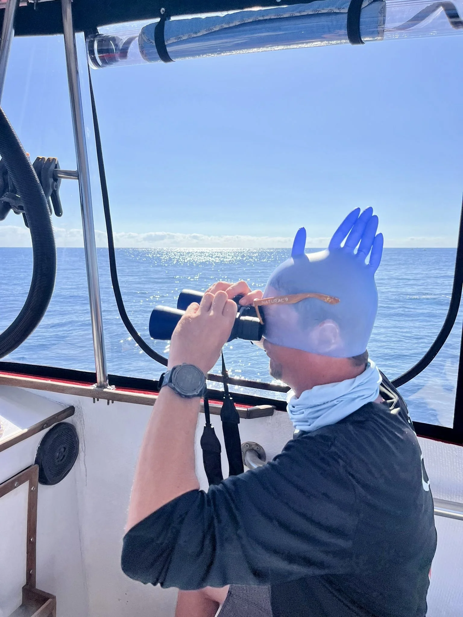 Jupiter Dive Report 11.28.24