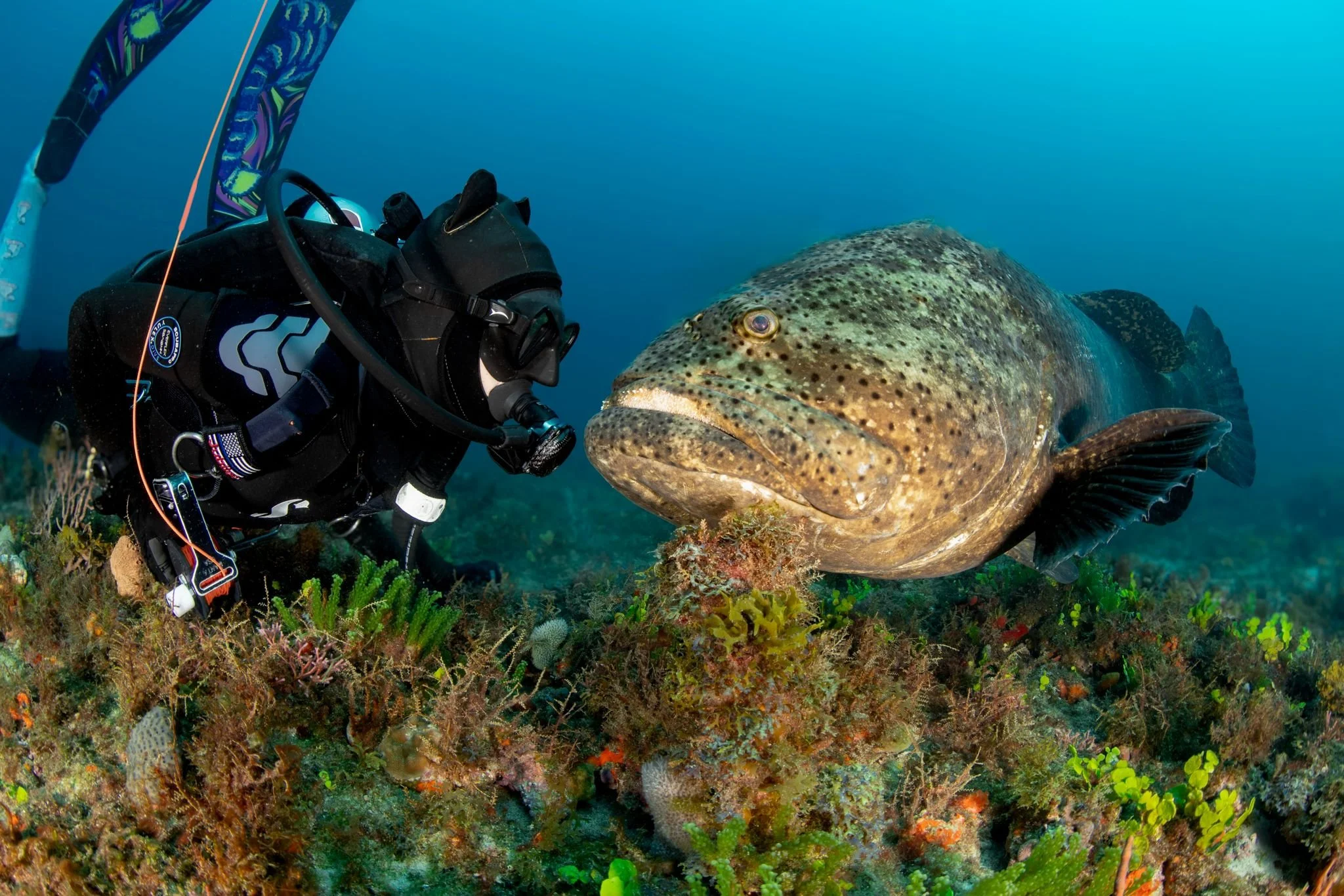 WhatsApp Image 2024-08-19 at 16.07.35_2d17a03b.jpg