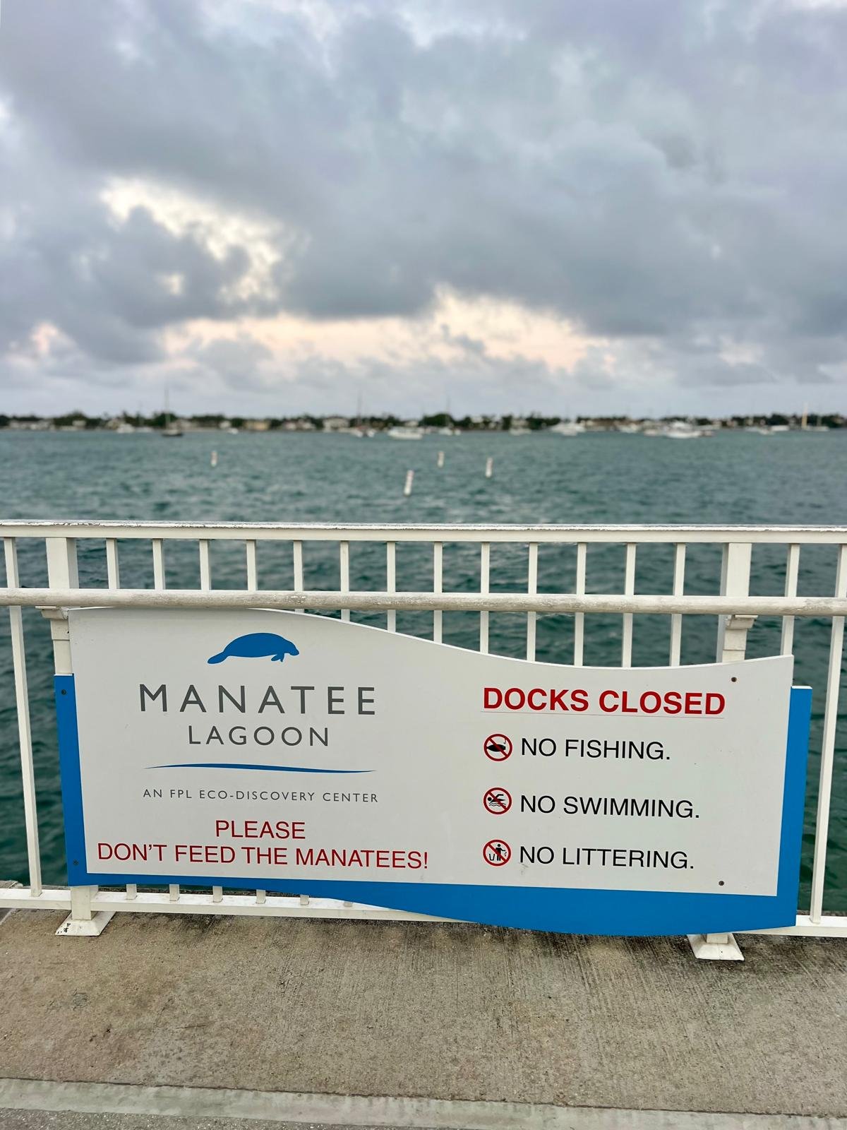 WhatsApp Image 2024-12-22 at 19.52.29_8a2e175d.jpg