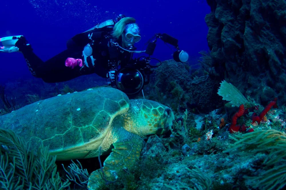 WhatsApp Image 2025-07-06 at 18.29.49_50b00e07.jpg