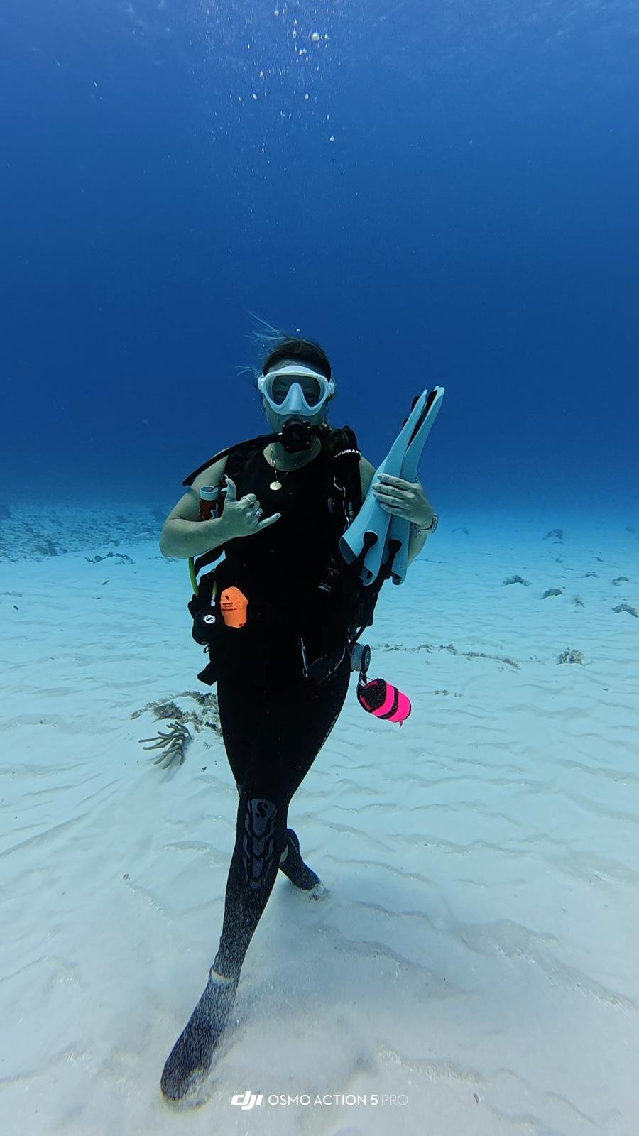 WhatsApp Image 2025-07-11 at 18.15.10_672078c1.jpg