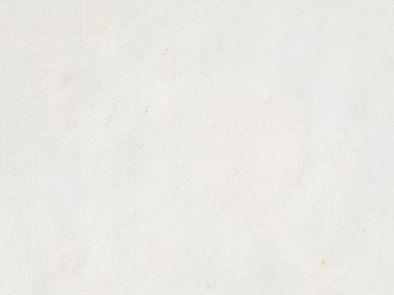 Eno Wine Bar Paper Wine Background.jpg