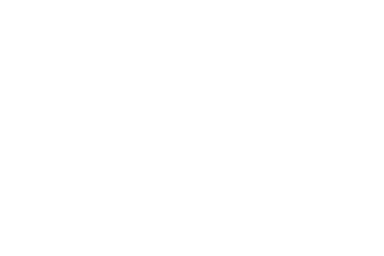 Wyld_logoNOBG-white.png