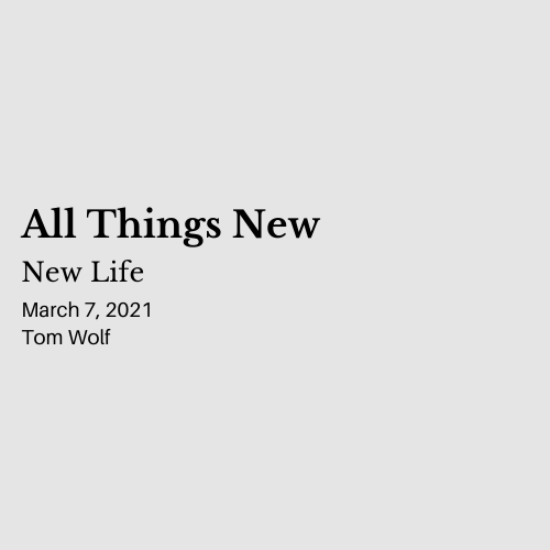 All Things New: New Life