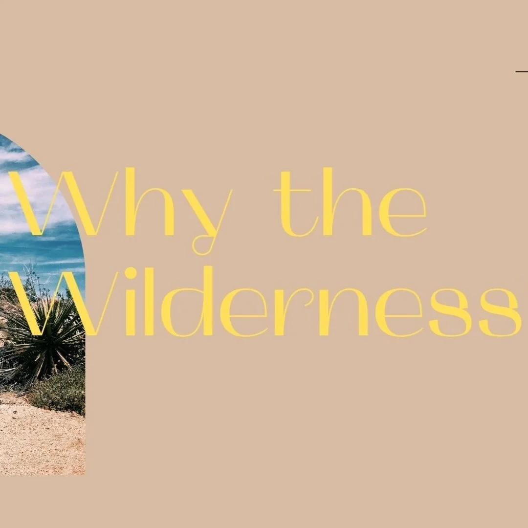 Why The Wilderness? A Stand Alone Message
