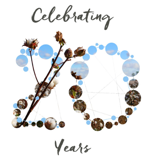 Fair Trade: Celebrating 20 Years