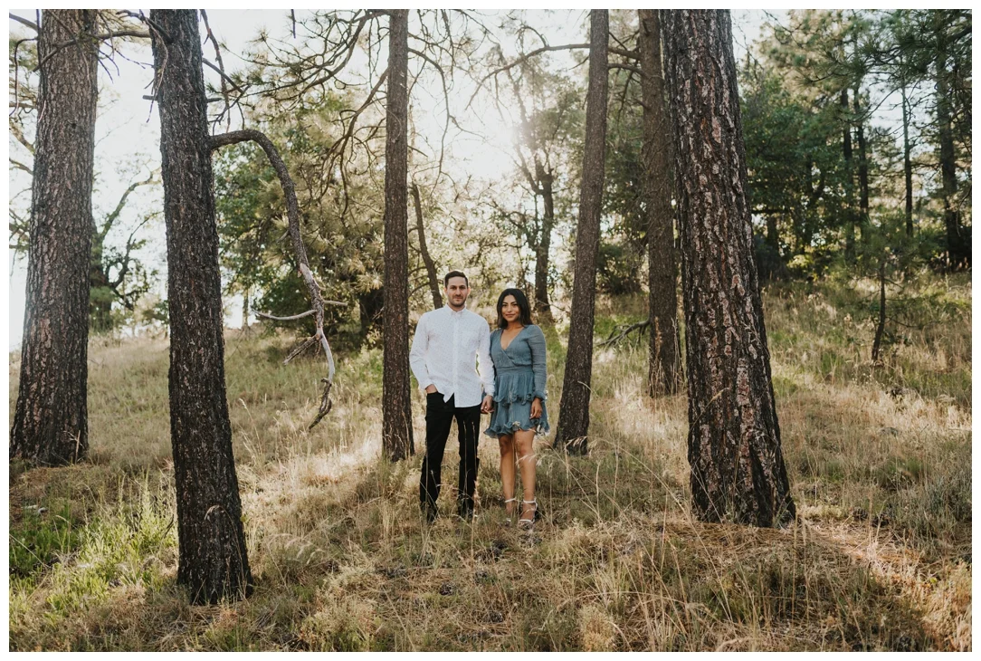 Mt-Laguna-Engagement-Photos_0001.jpg