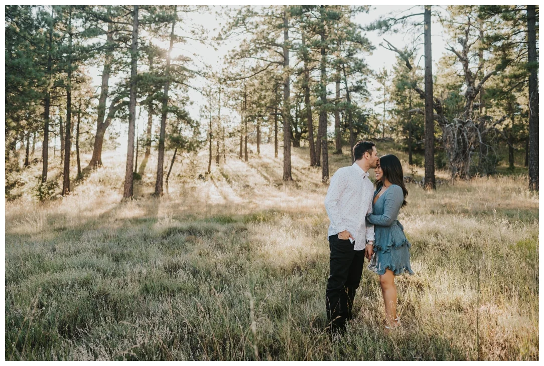 Mt-Laguna-Engagement-Photos_0006.jpg