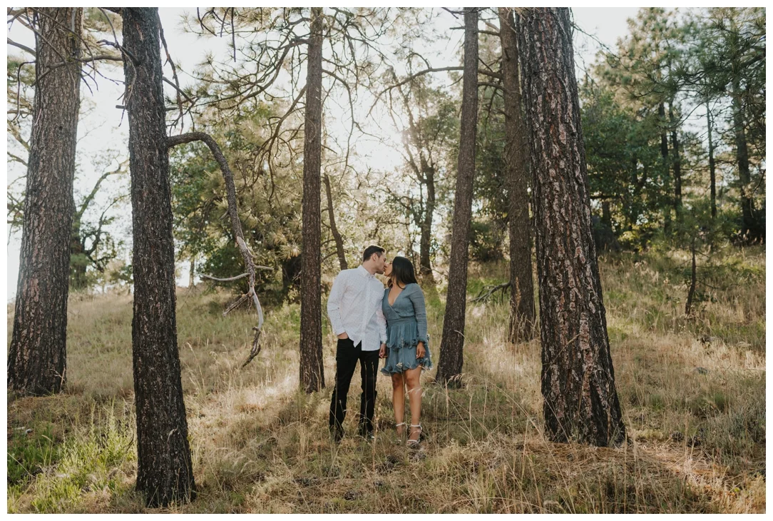 Mt-Laguna-Engagement-Photos_0010.jpg