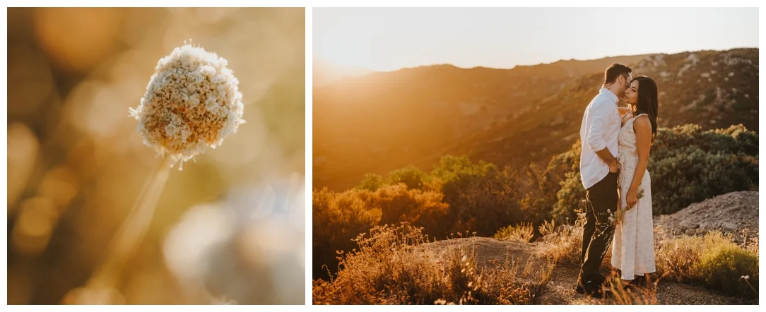 Mt-Laguna-Engagement-Photos_0028.jpg