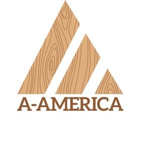 A America logo.jpg