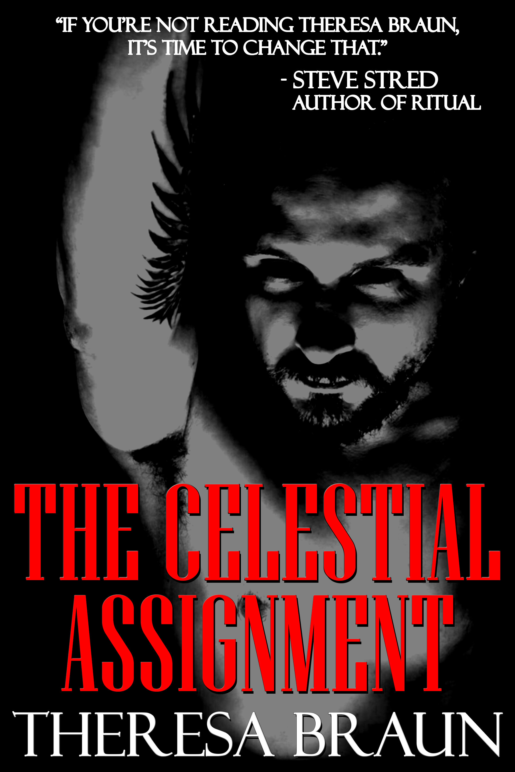 The Celestial Assignment Cover.jpg