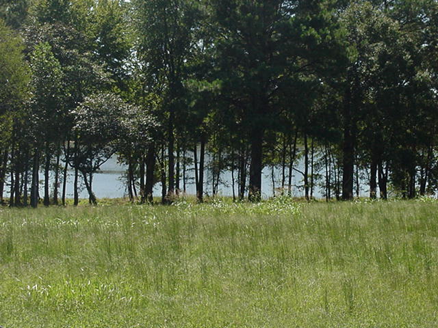 Cherokee Landing Shoreline1.jpg