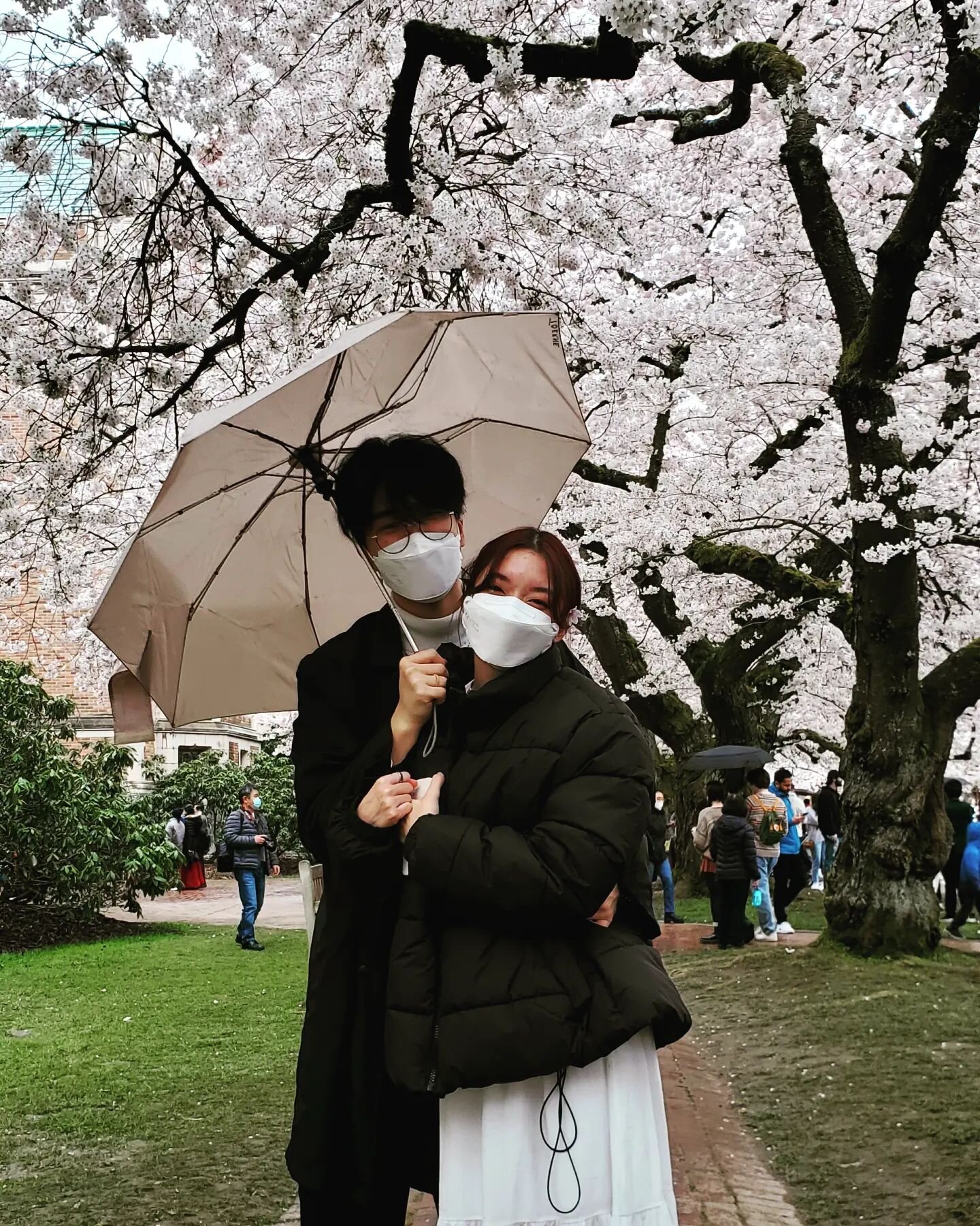 A week ago I visited UW's cherry blossoms at the school's Quad. As I was walking under the trees, this couple walked by and I couldn't help but ask if I could take their photo. Besides, everyone and their dog had their phone out doing the same.
Cute 