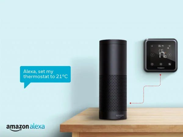 T6-Alexa.jpg