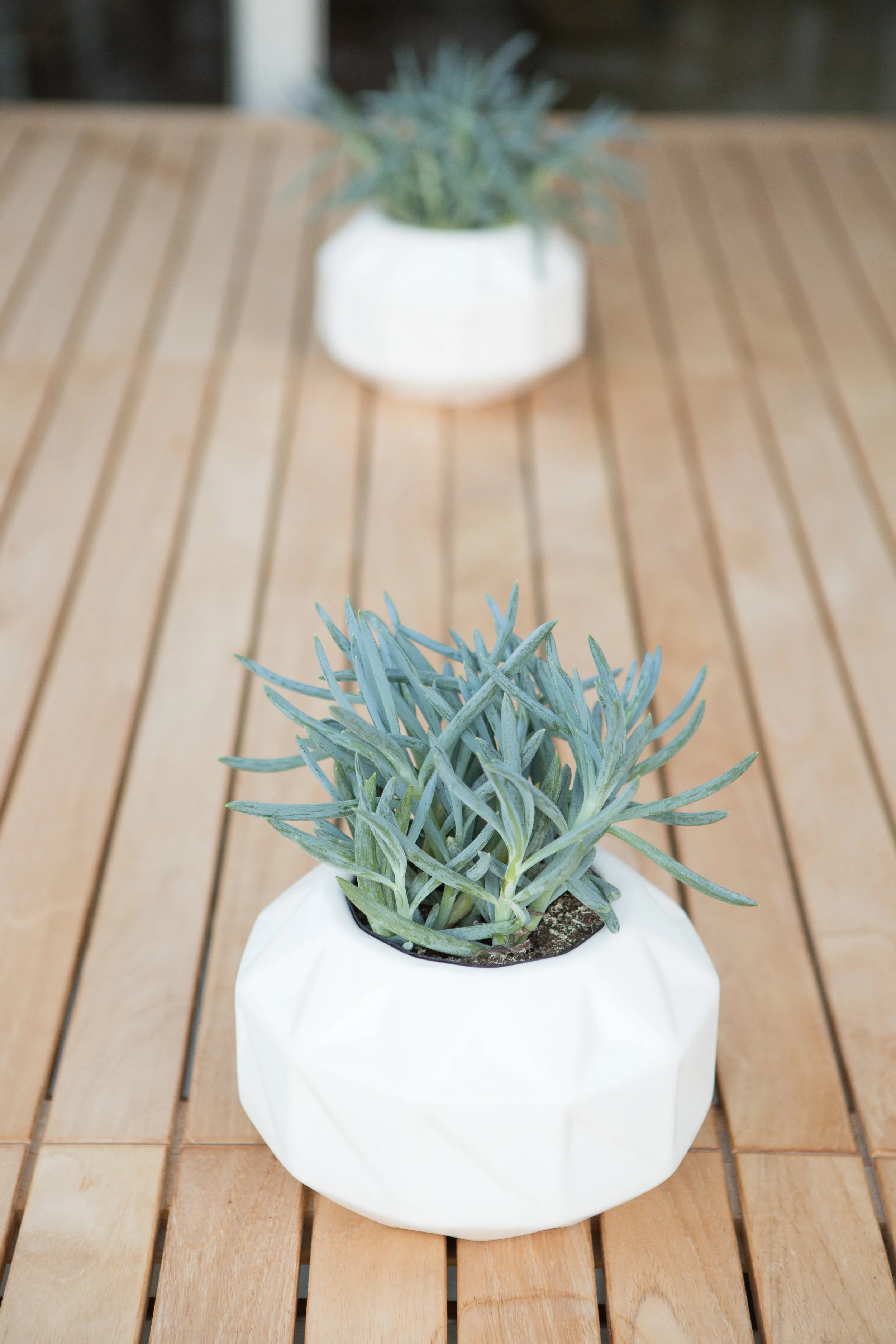 Flower Pot
