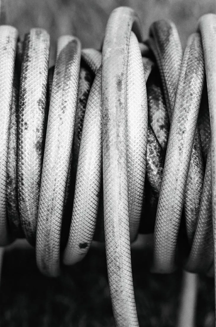 Hose