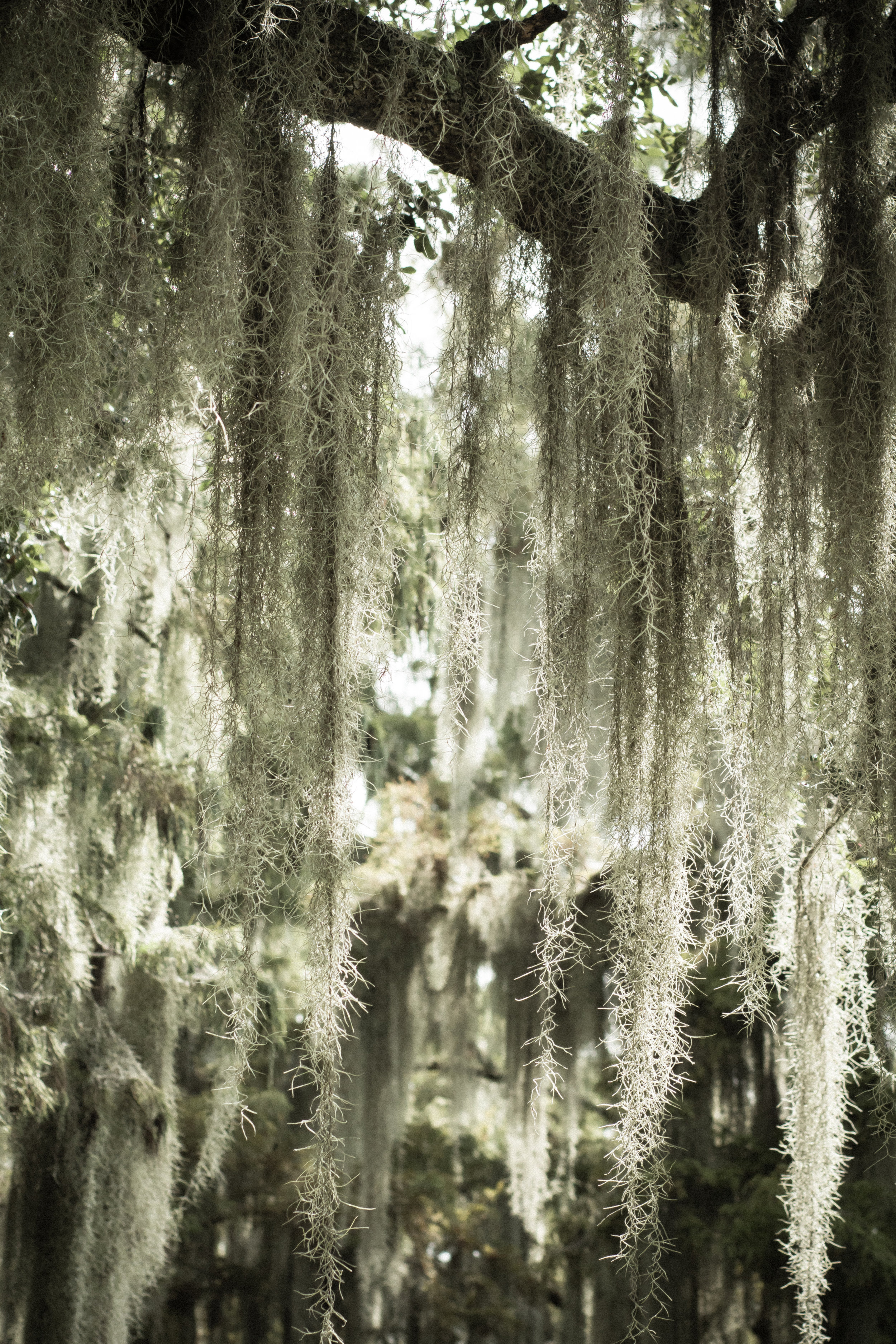 Veiled Transcendence